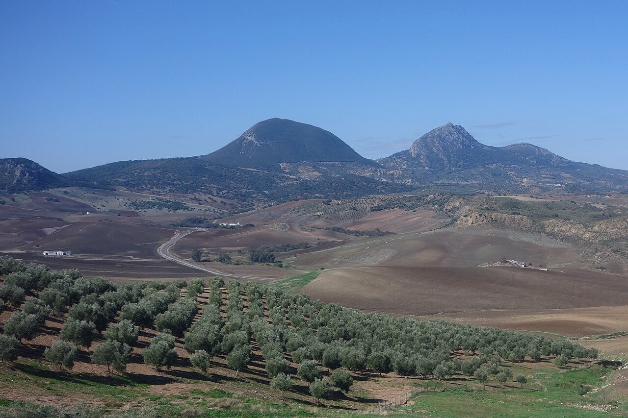 Imagen 6. La Sierra Sur desde los olivares y campos de cereal de Algámitas. A la izquierda, la Sierra del Tablón, cuyo punto culminante, El Terril (1.129 m), es el techo de la provincia; a la derecha, el Peñón de Algámitas.
