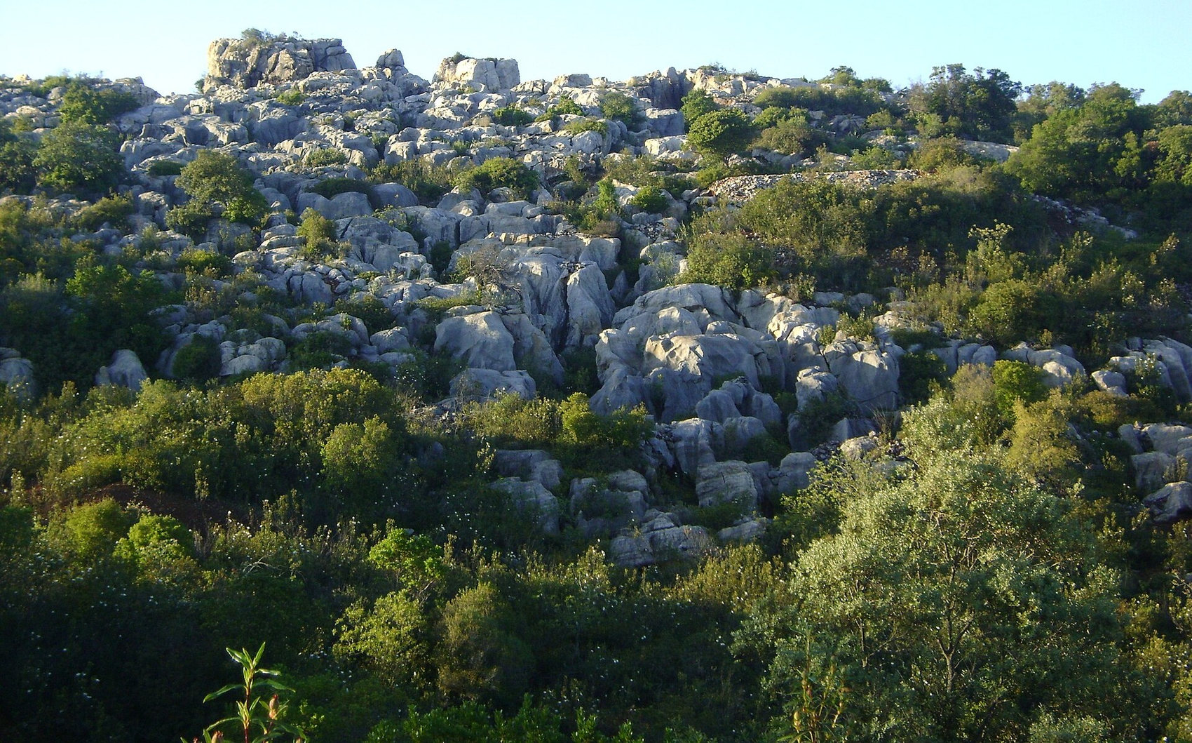 Imagen 8. Crestas calizas del Cerro del Hierro, en San Nicolás del Puerto: un relieve kárstico rodeado de encinas y matorral mediterráneo en plena Sierra Norte.