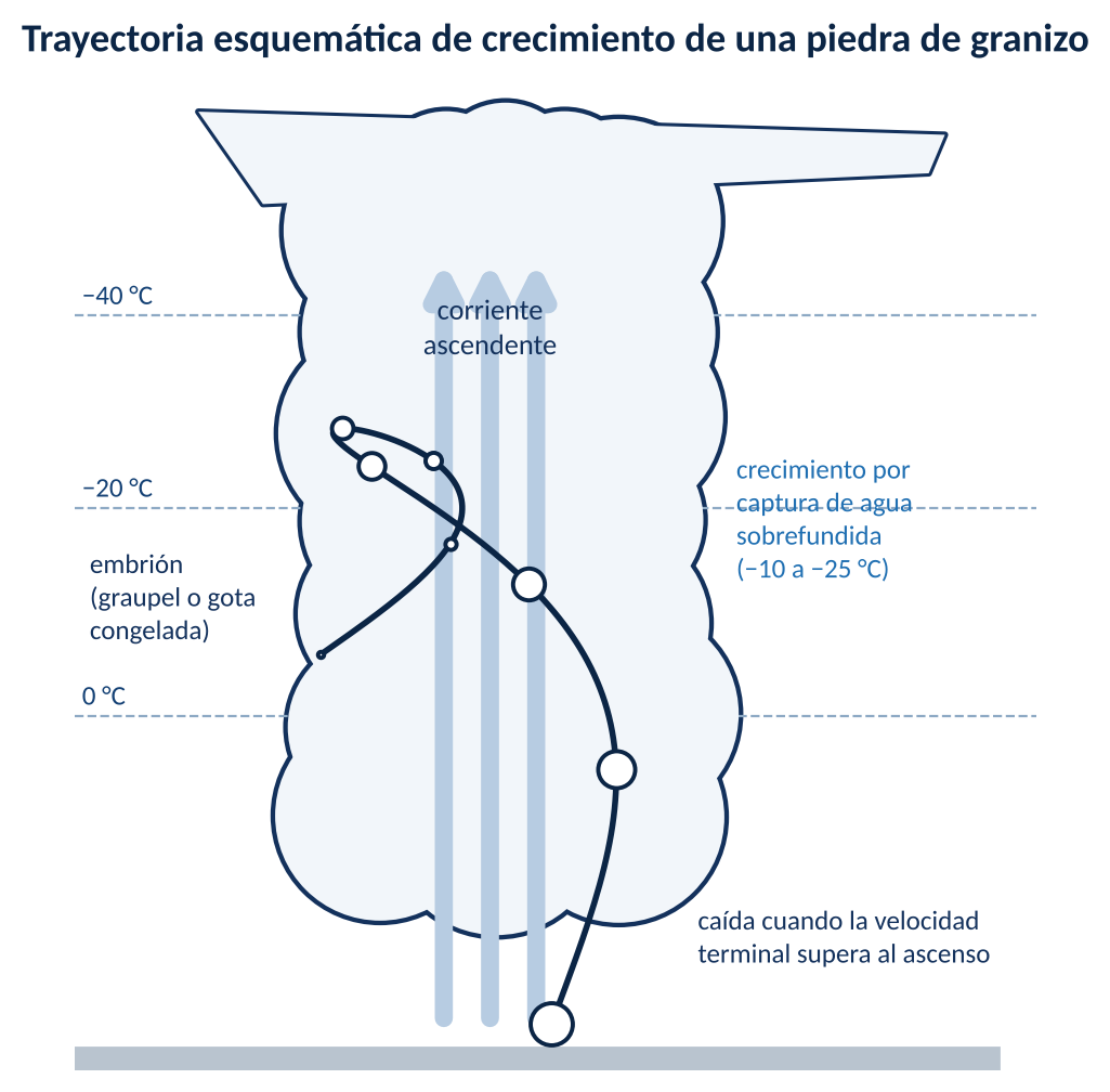 Trayectoria esquemática de crecimiento de una piedra de granizo en la corriente ascendente de un cumulonimbo. Elaboración propia a partir de los modelos conceptuales descritos por Allen et al. (2020)