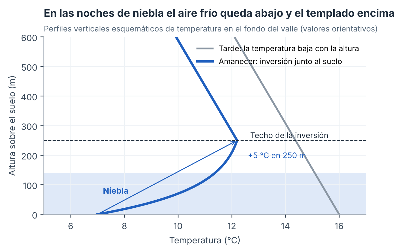 Perfiles verticales esquemáticos de temperatura en el fondo del valle: por la tarde (línea gris) y al amanecer de una noche de niebla (línea azul). Valores orientativos; elaboración propia.