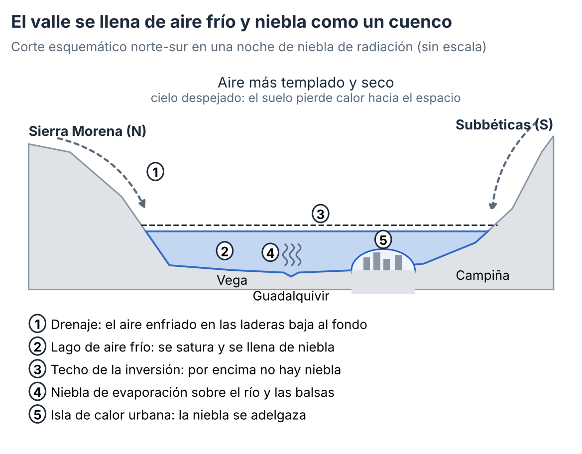 Dónde se forma cada niebla en una noche de radiación. Esquema de elaboración propia, sin escala.