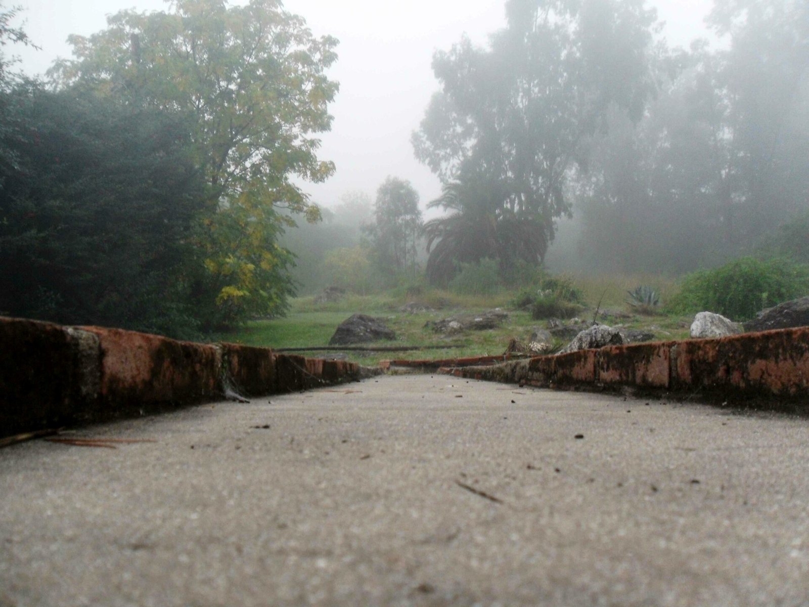 Niebla de radiación en Córdoba, noviembre de 2014. Foto: Rex Ringo, CC BY-SA 4.0, vía Wikimedia Commons.