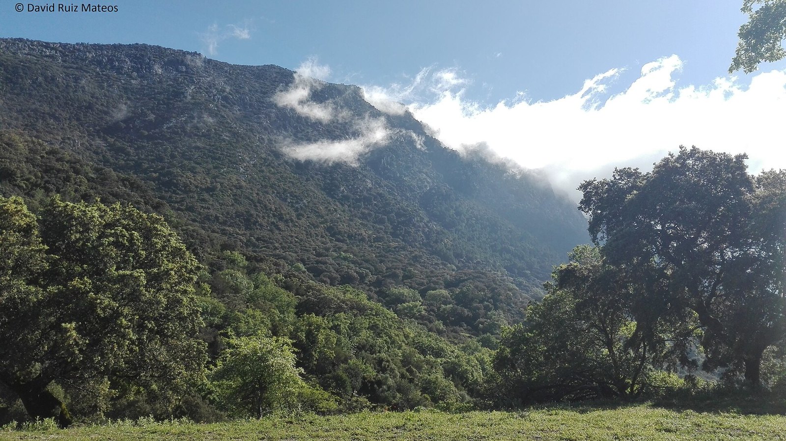 Jirones de nube enganchados a las laderas de la Sierra del Pinar (Grazalema), mayo de 2016. Foto: Davidruiz91 (David Ruiz Mateos), CC BY-SA 4.0, vía Wikimedia Commons.